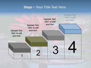 A Red Flower Is In The Middle Of A Body Of Water PowerPoint Template