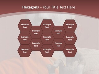 Stone Buddha Making Ok Sign From The Temple Of Nakhon Pathom, Thailand PowerPoint Template