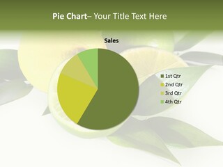 Green Lime PowerPoint Template