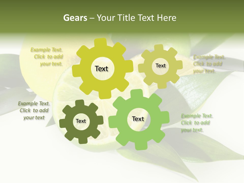 Green Lime PowerPoint Template