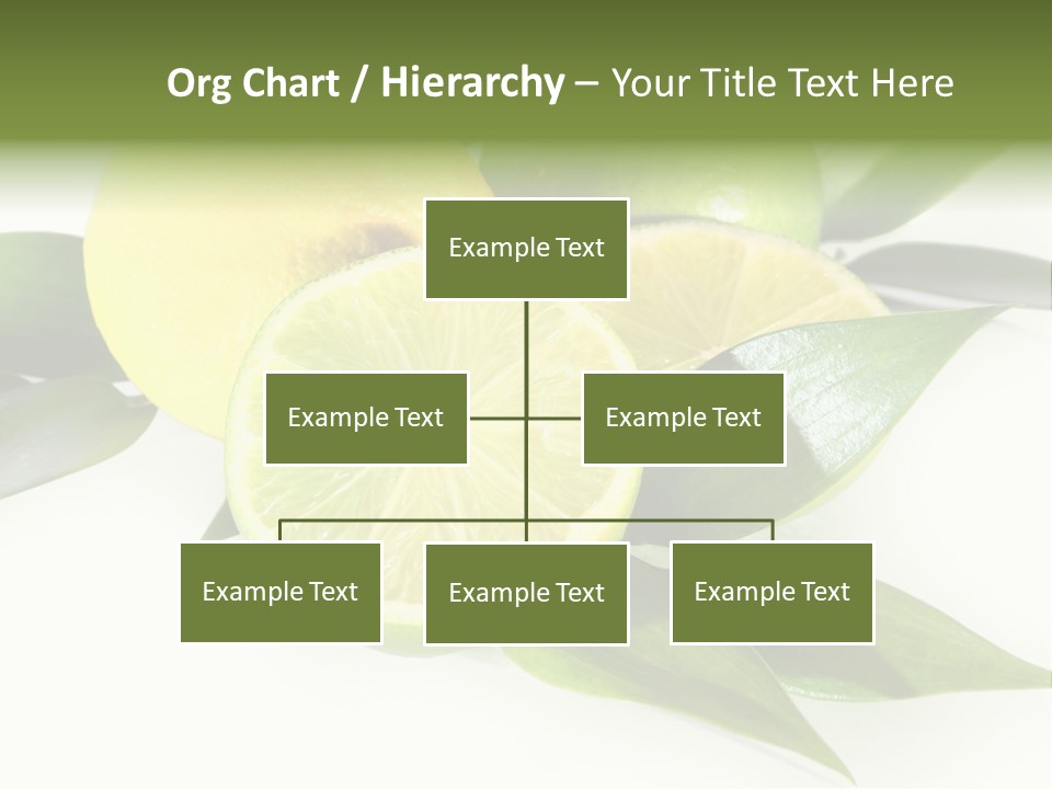 Green Lime PowerPoint Template
