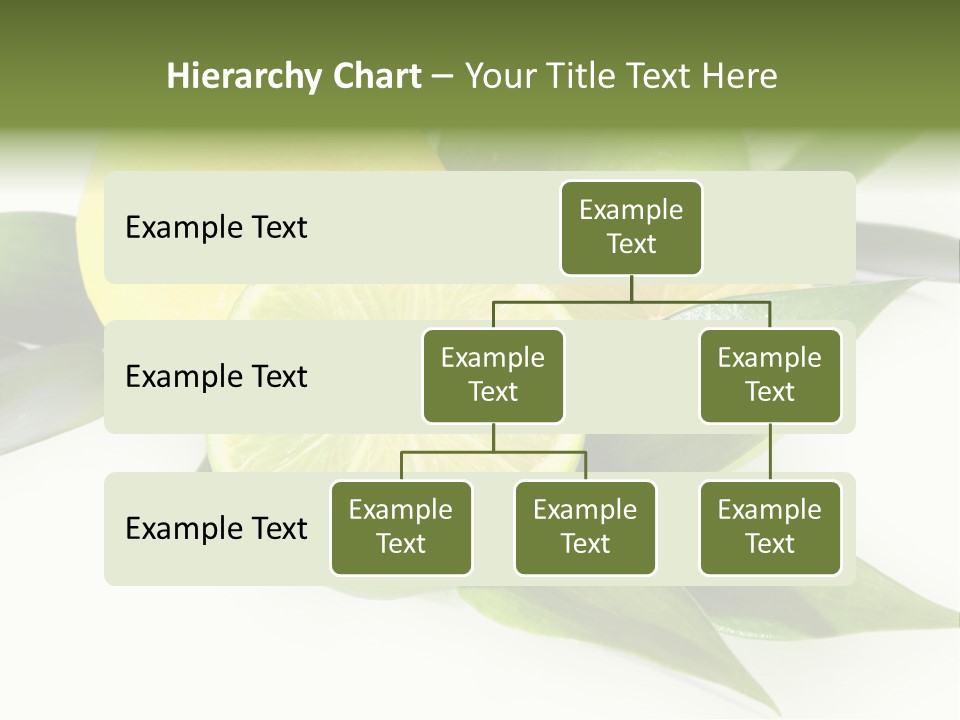 Green Lime PowerPoint Template