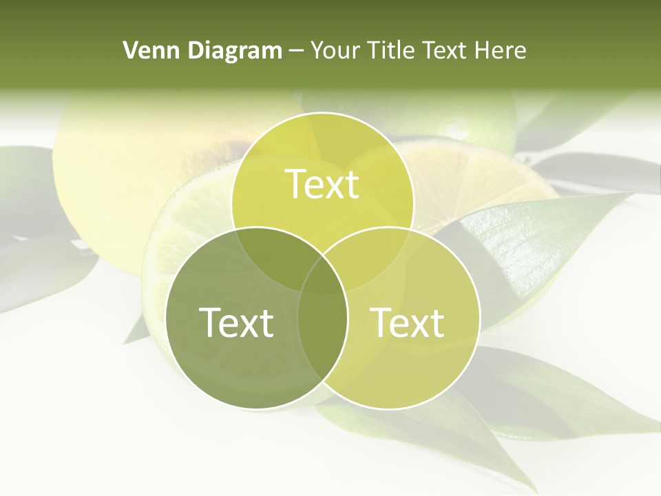 Green Lime PowerPoint Template