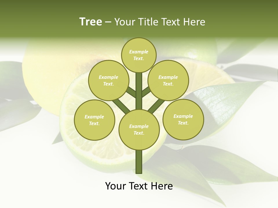Green Lime PowerPoint Template