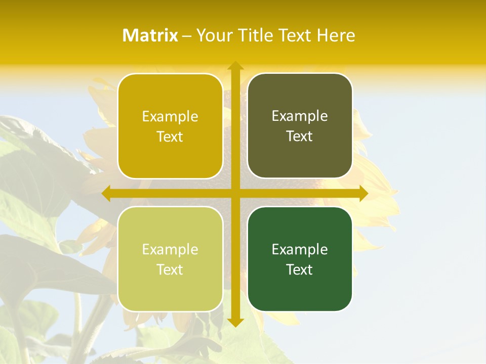 Sunflower PowerPoint Template