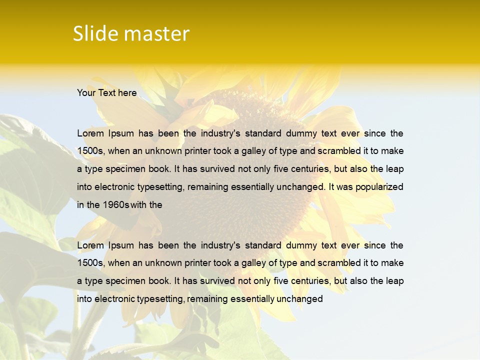 Sunflower PowerPoint Template
