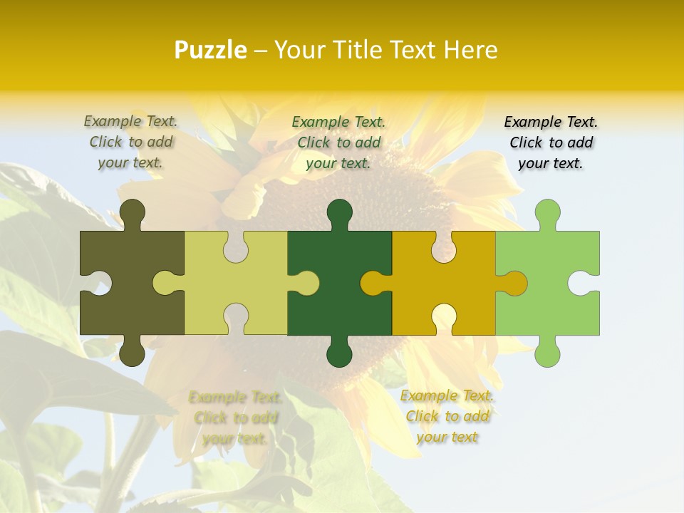 Sunflower PowerPoint Template