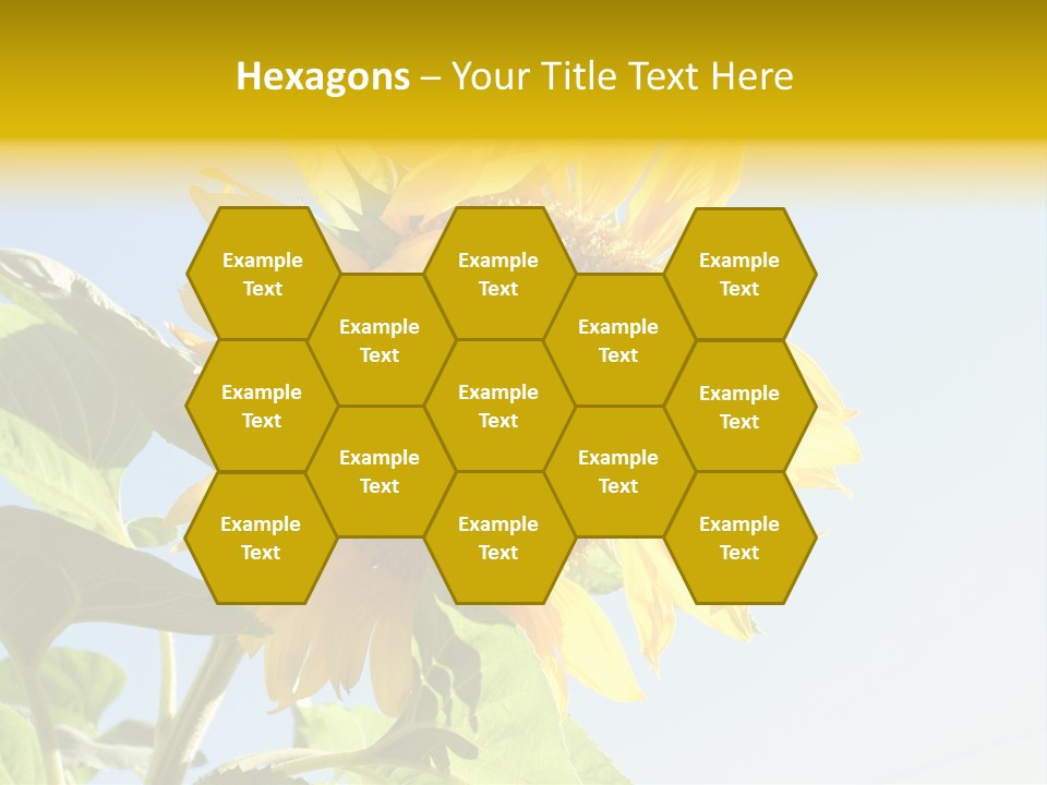 Sunflower PowerPoint Template