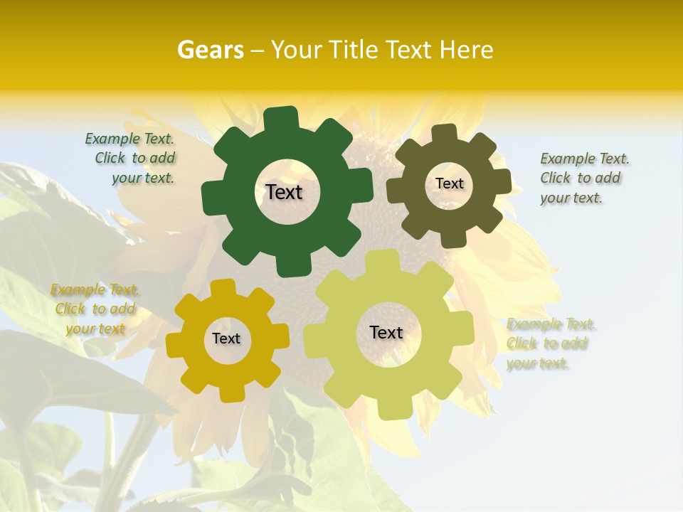 Sunflower PowerPoint Template