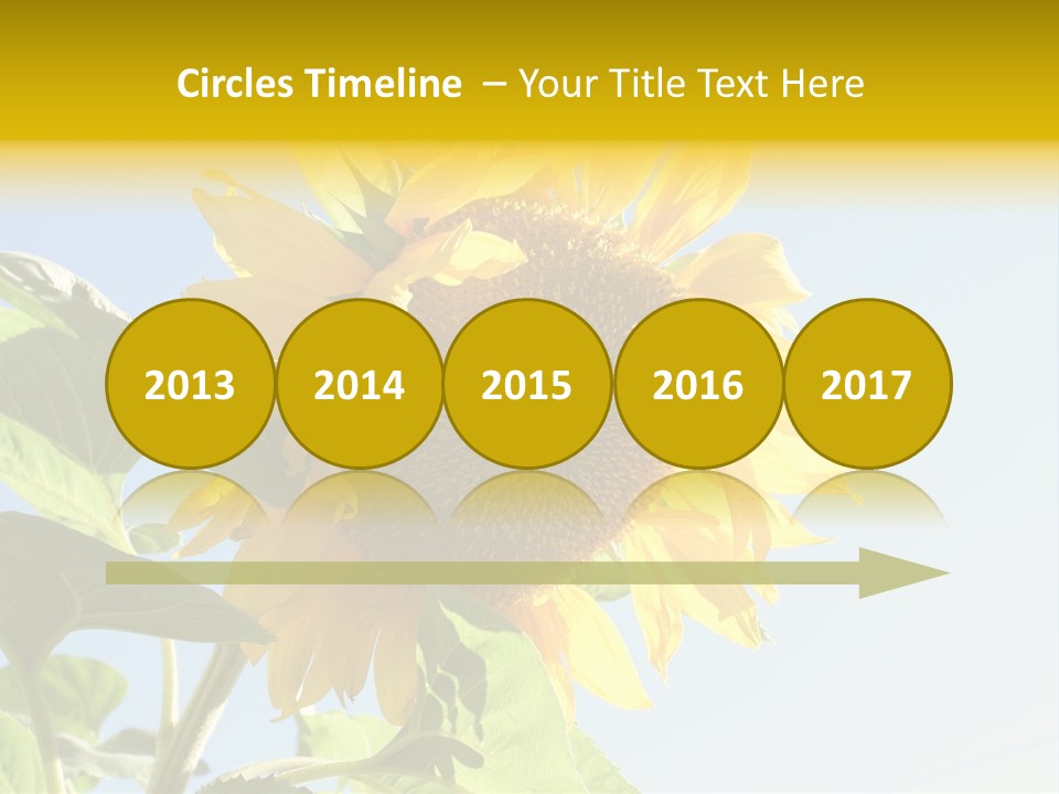 Sunflower PowerPoint Template
