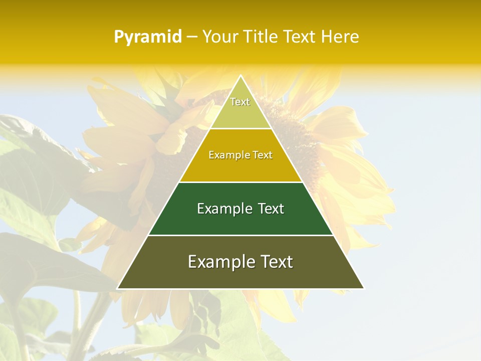 Sunflower PowerPoint Template