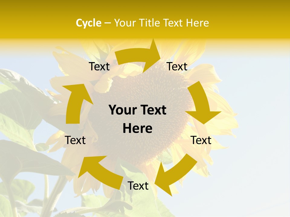 Sunflower PowerPoint Template