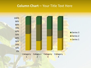 Sunflower PowerPoint Template