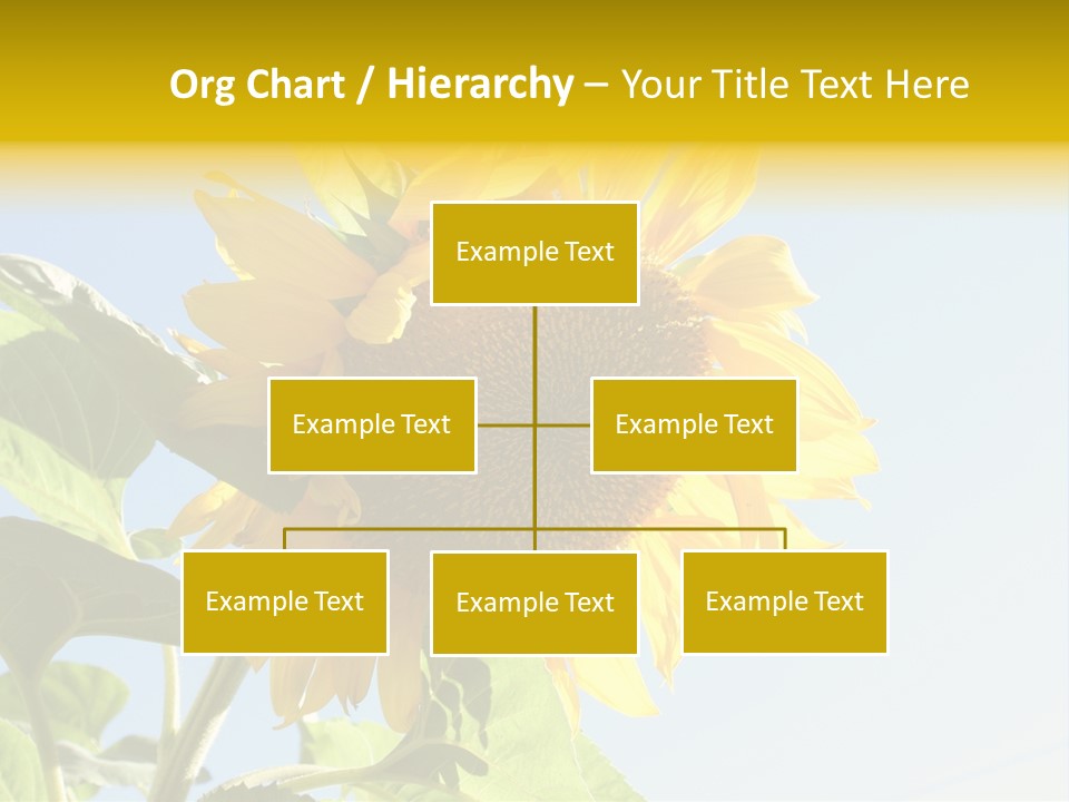 Sunflower PowerPoint Template