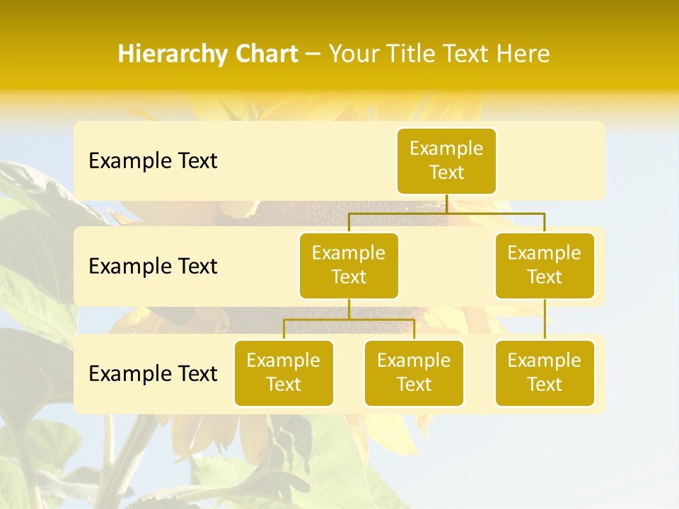 Sunflower PowerPoint Template