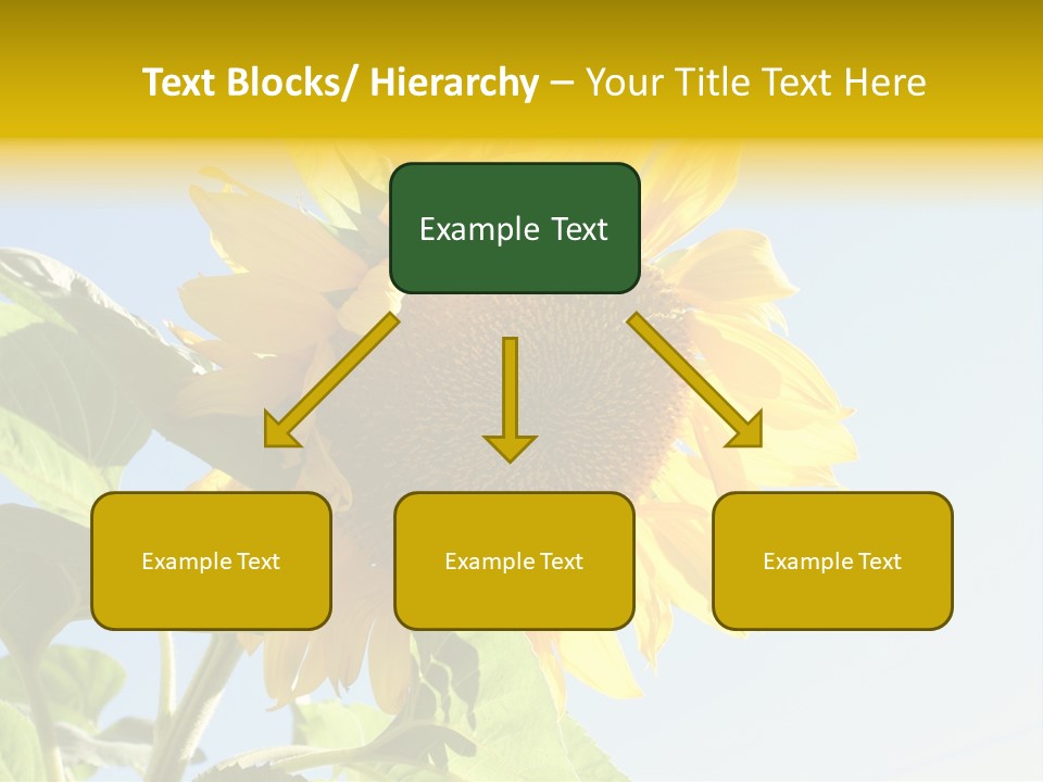 Sunflower PowerPoint Template