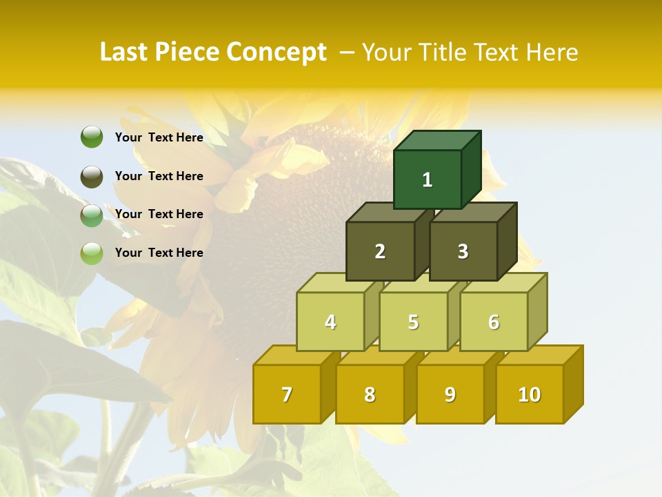 Sunflower PowerPoint Template