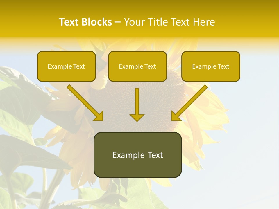 Sunflower PowerPoint Template