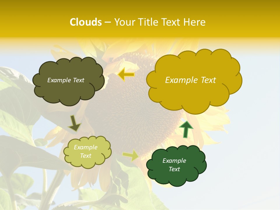 Sunflower PowerPoint Template