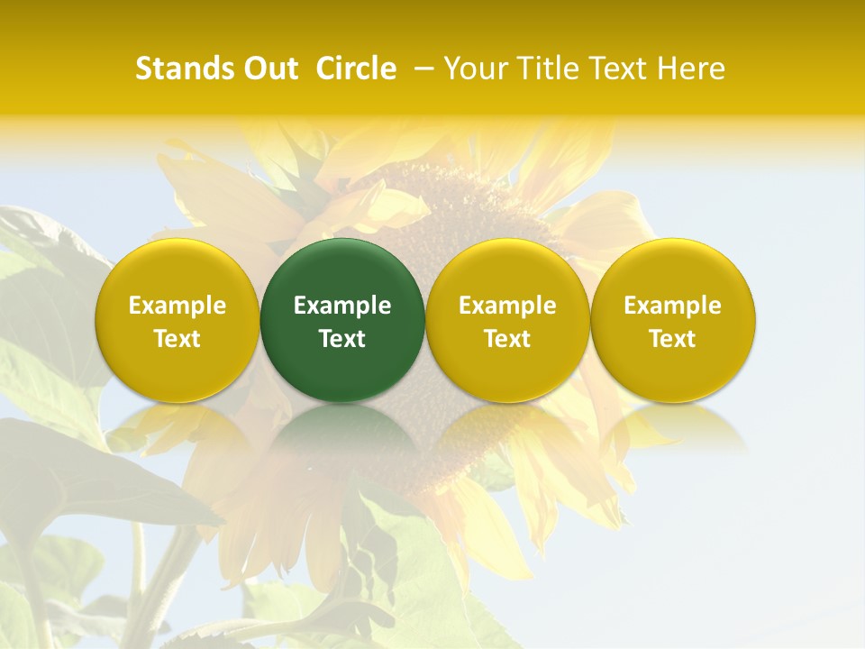 Sunflower PowerPoint Template