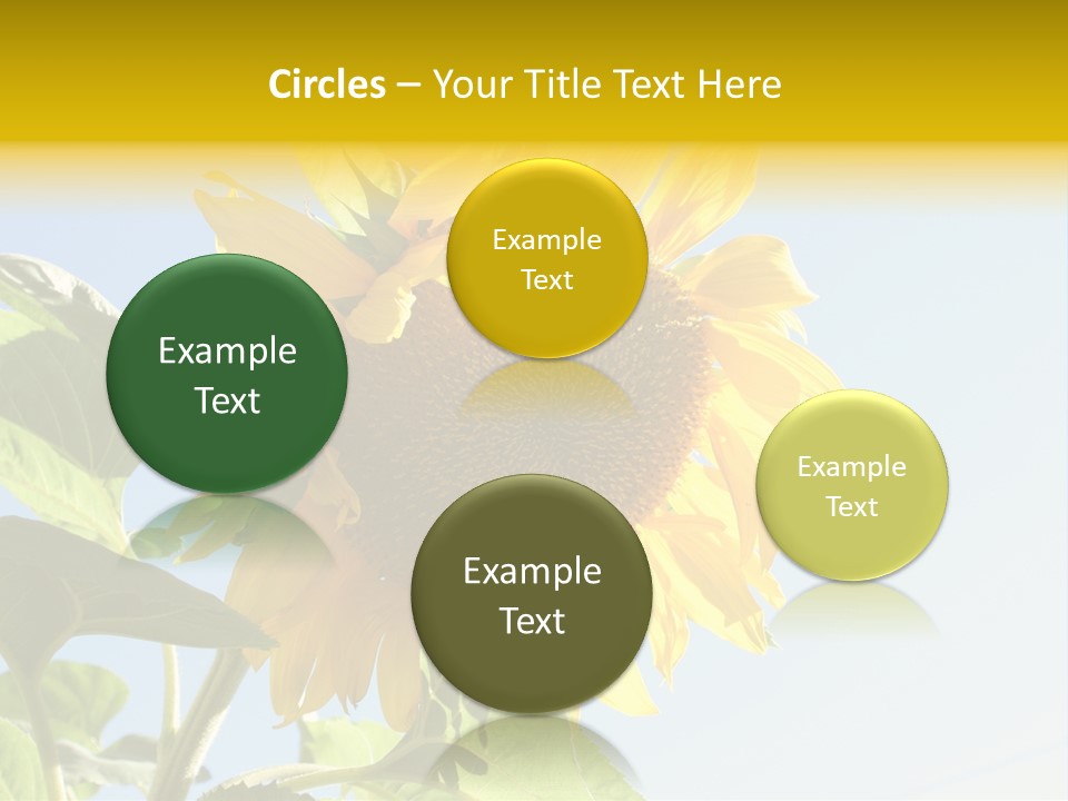 Sunflower PowerPoint Template