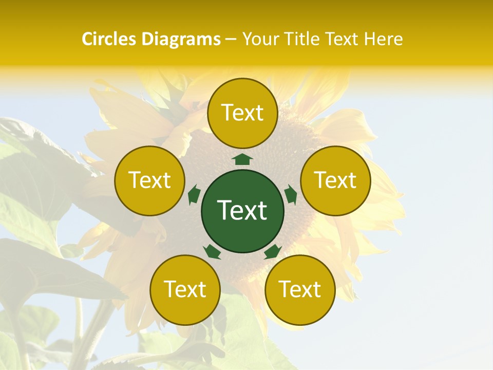 Sunflower PowerPoint Template
