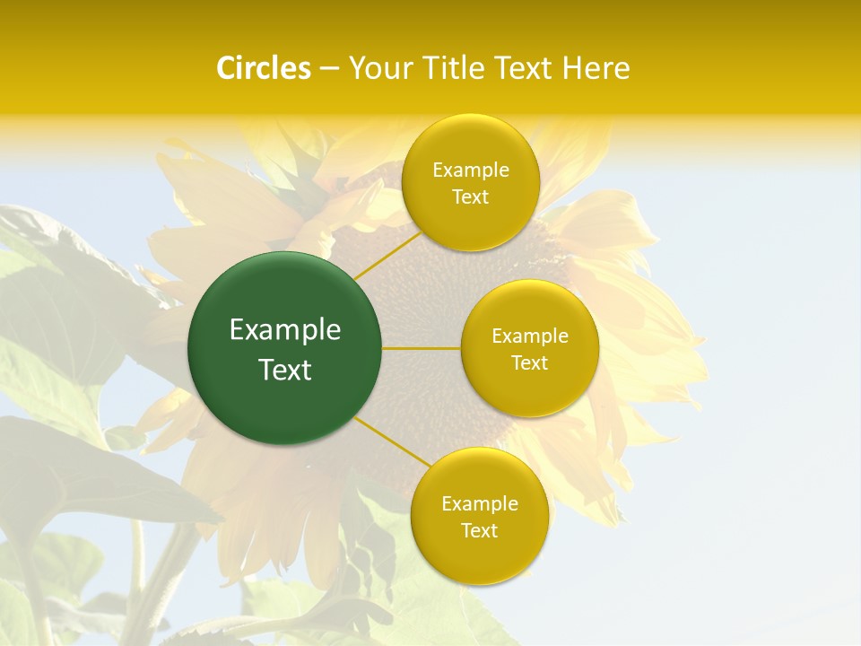 Sunflower PowerPoint Template
