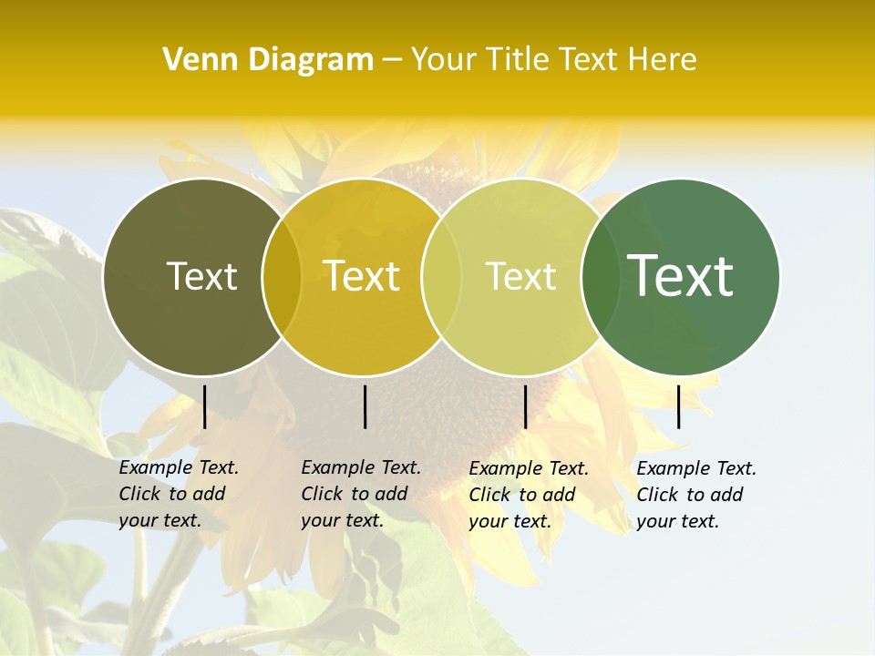 Sunflower PowerPoint Template