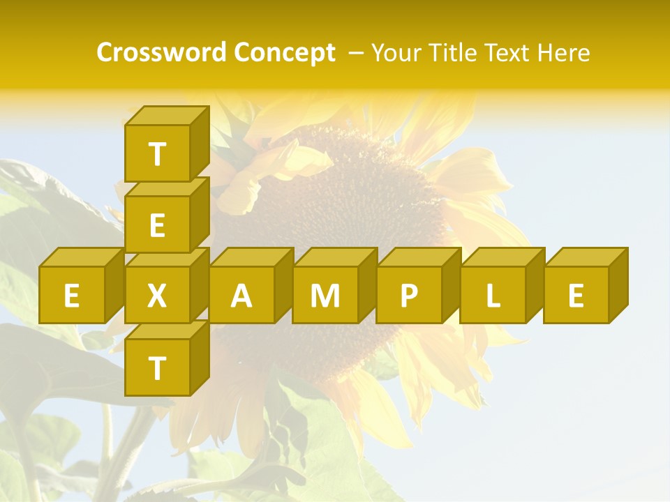 Sunflower PowerPoint Template