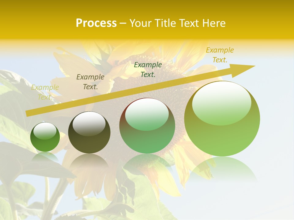 Sunflower PowerPoint Template