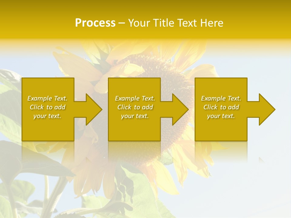 Sunflower PowerPoint Template