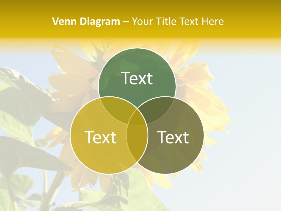 Sunflower PowerPoint Template