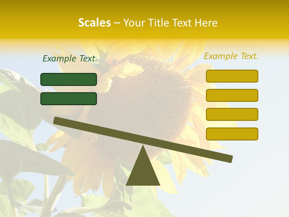 Sunflower PowerPoint Template