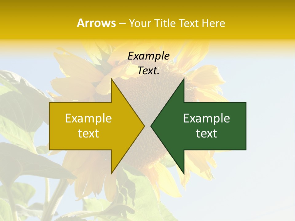 Sunflower PowerPoint Template