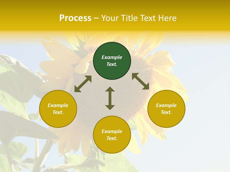 Sunflower PowerPoint Template
