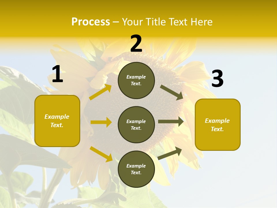 Sunflower PowerPoint Template