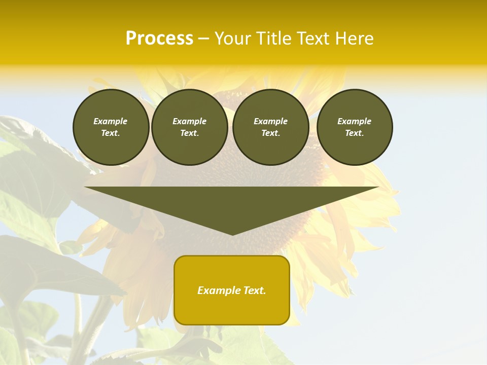 Sunflower PowerPoint Template