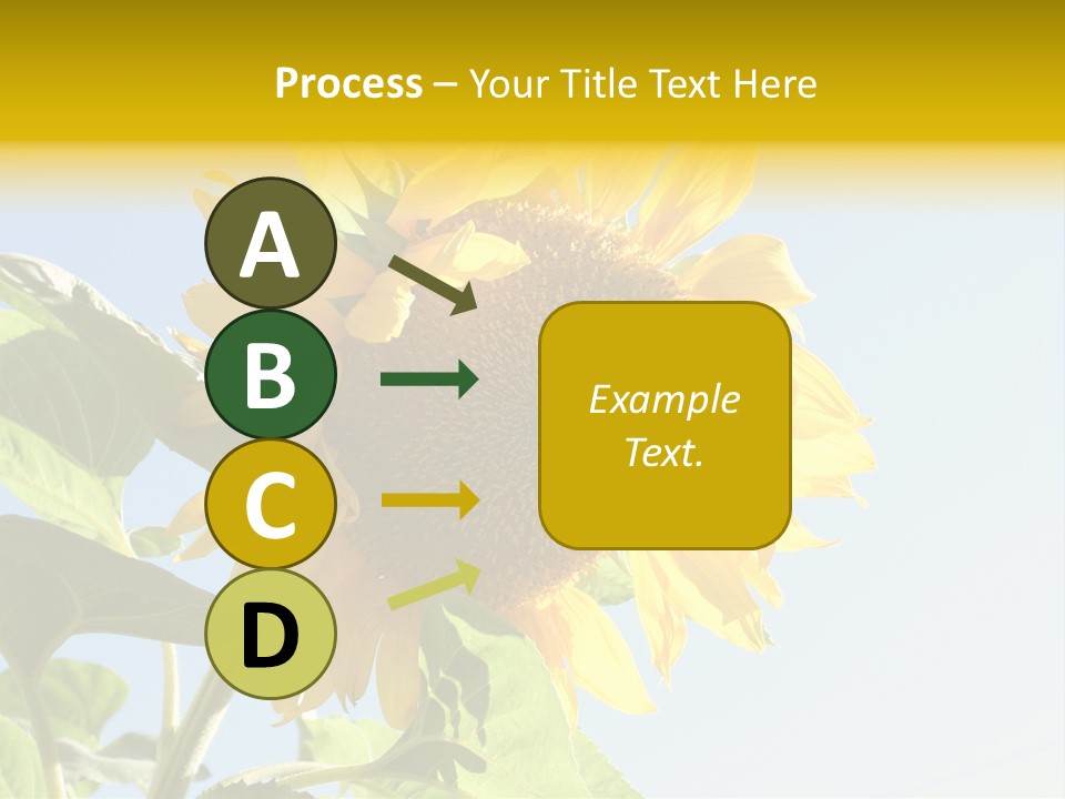 Sunflower PowerPoint Template