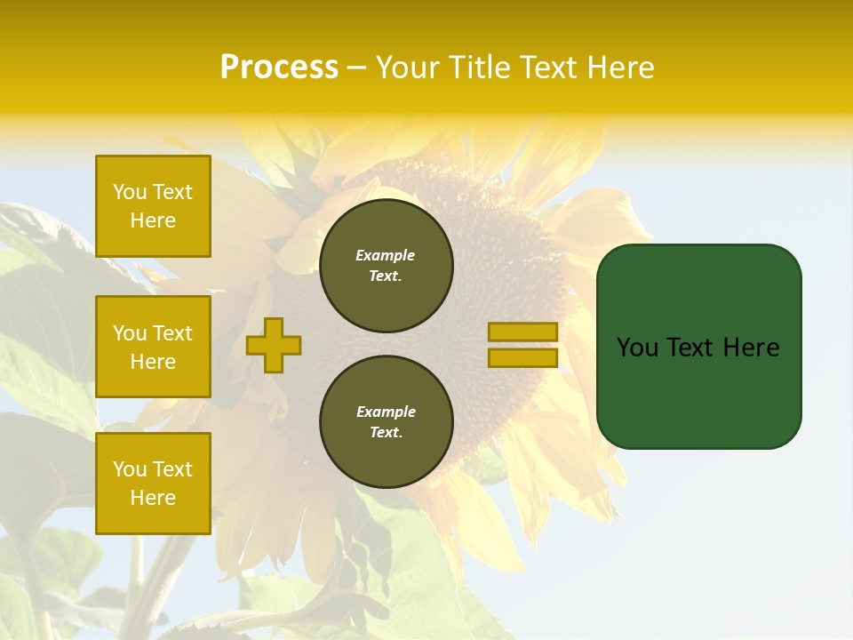 Sunflower PowerPoint Template