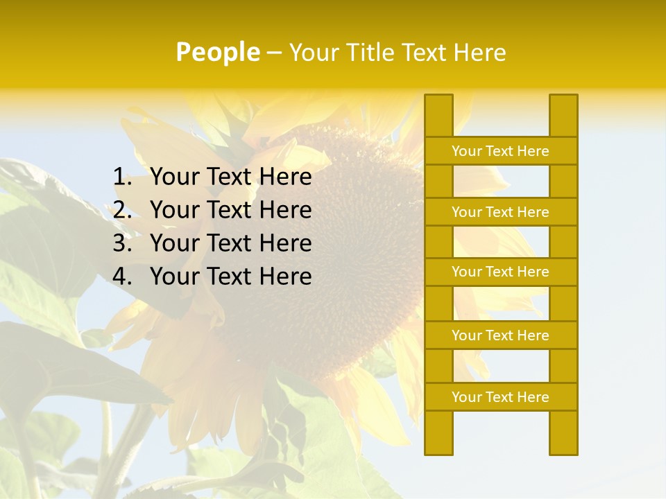 Sunflower PowerPoint Template
