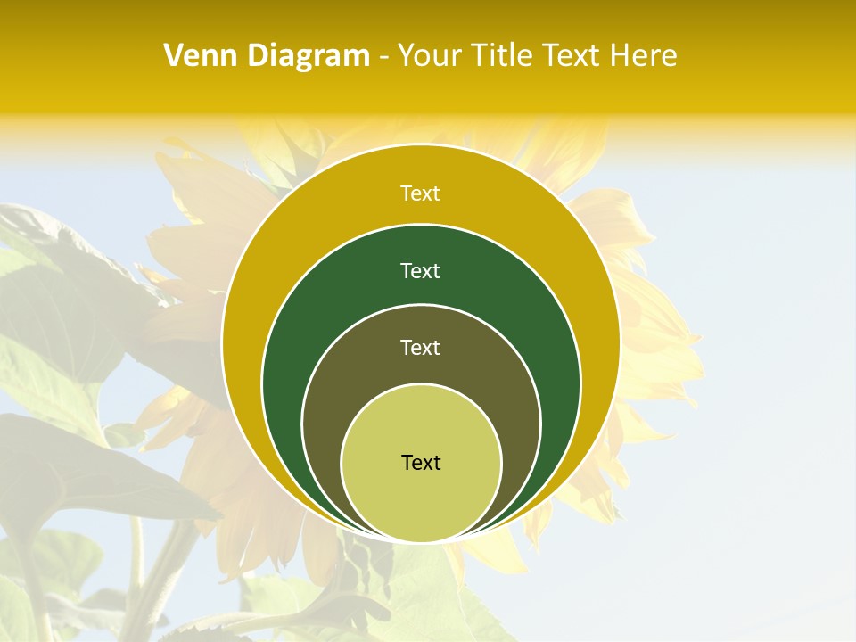 Sunflower PowerPoint Template