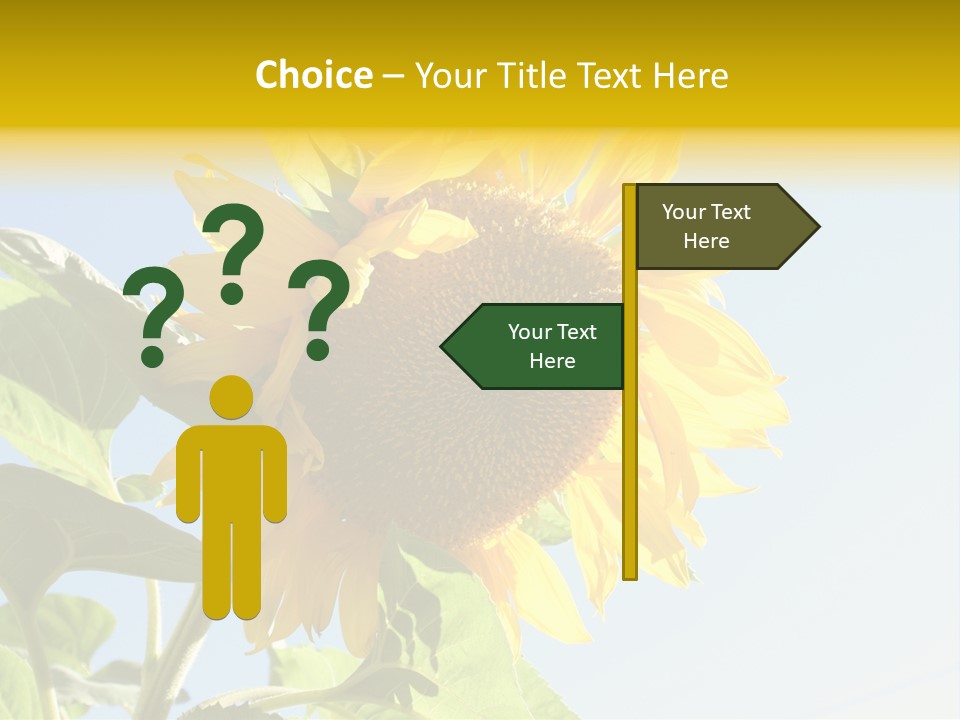 Sunflower PowerPoint Template