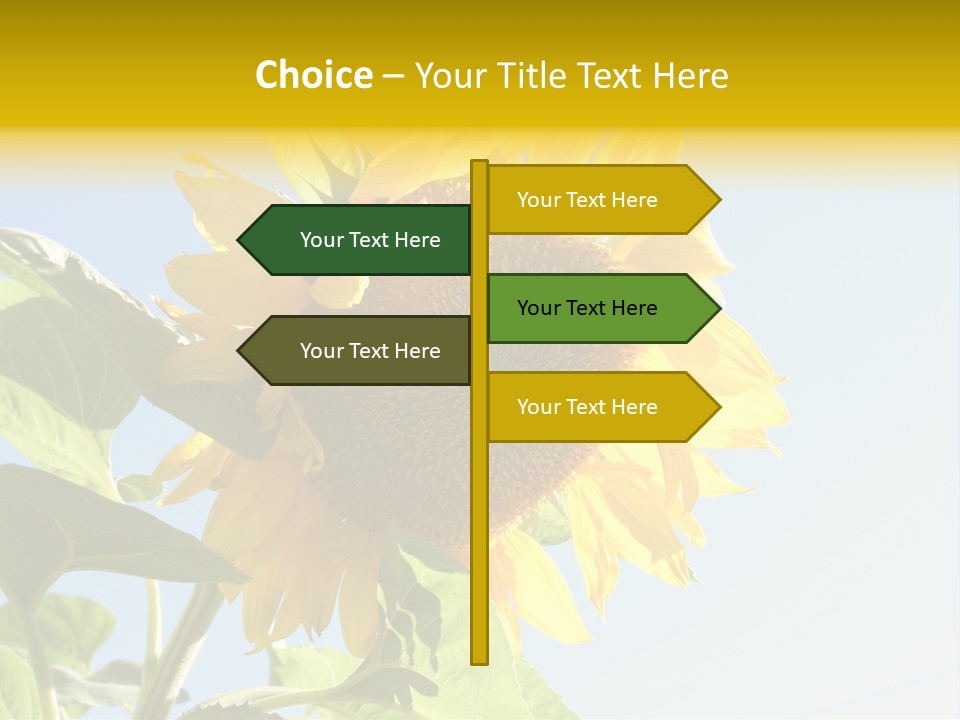 Sunflower PowerPoint Template