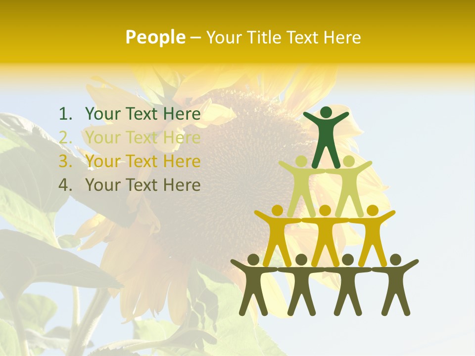 Sunflower PowerPoint Template
