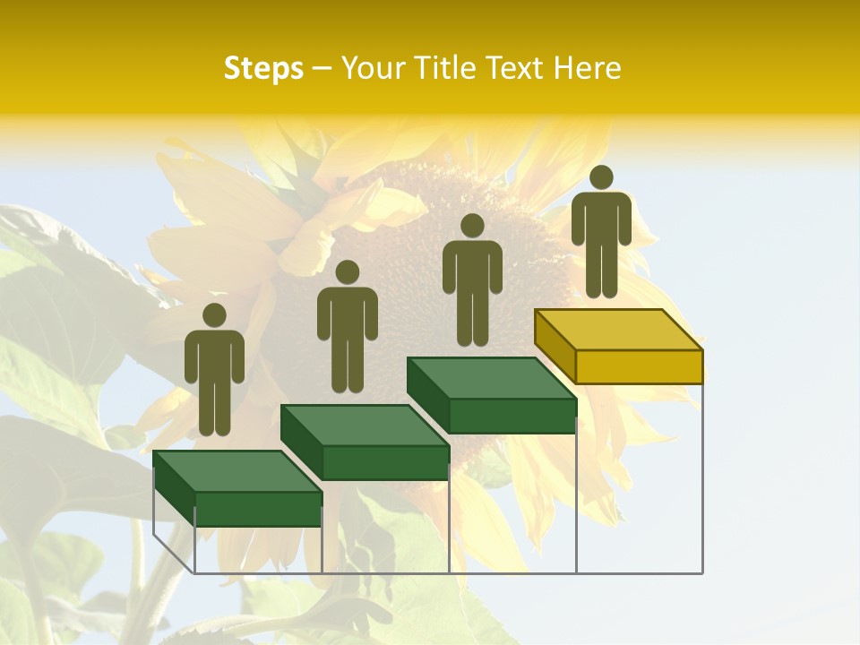 Sunflower PowerPoint Template
