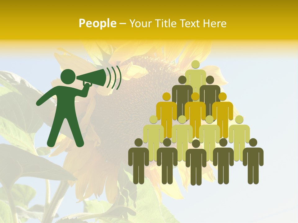 Sunflower PowerPoint Template