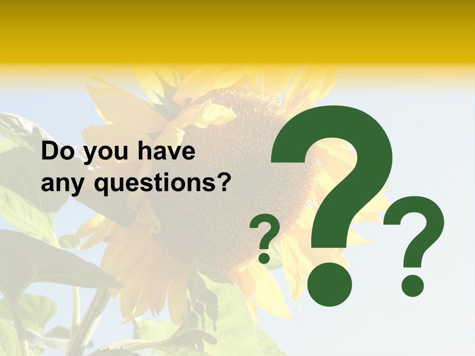 Sunflower PowerPoint Template