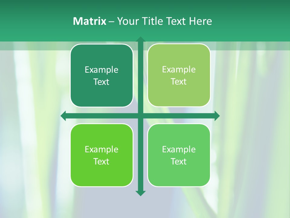 Grass And Drop PowerPoint Template