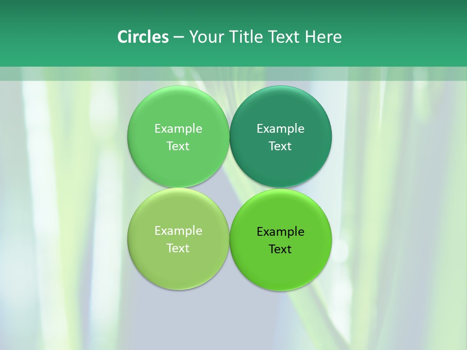 Grass And Drop PowerPoint Template