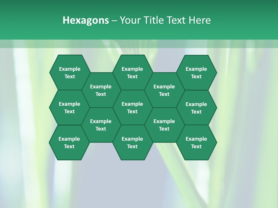 Grass And Drop PowerPoint Template